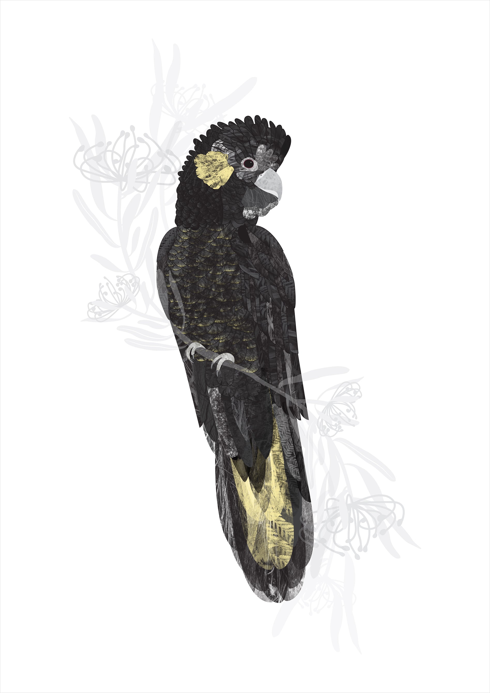 Black Cockatoo - Dark Omen by Bec Adamczewski