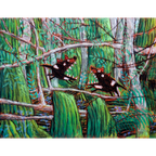 The Devils' Playground by Jon Kudelka