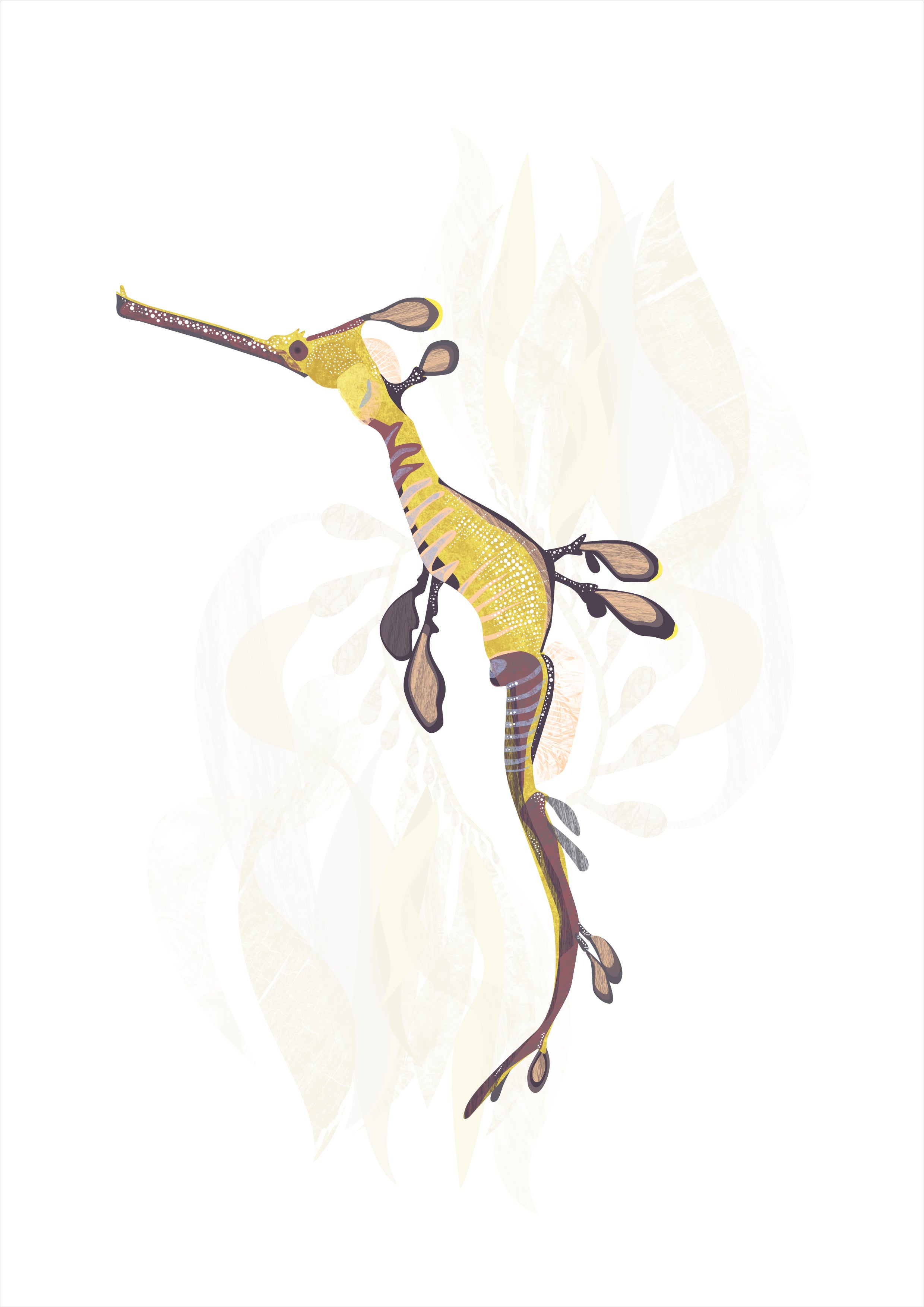 Weedy Sea Dragon - Tinderbox by Bec Adamczewski