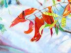 Red Leaves by Laurence King