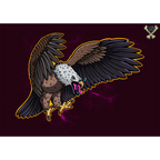 Eagle By Nick Hills