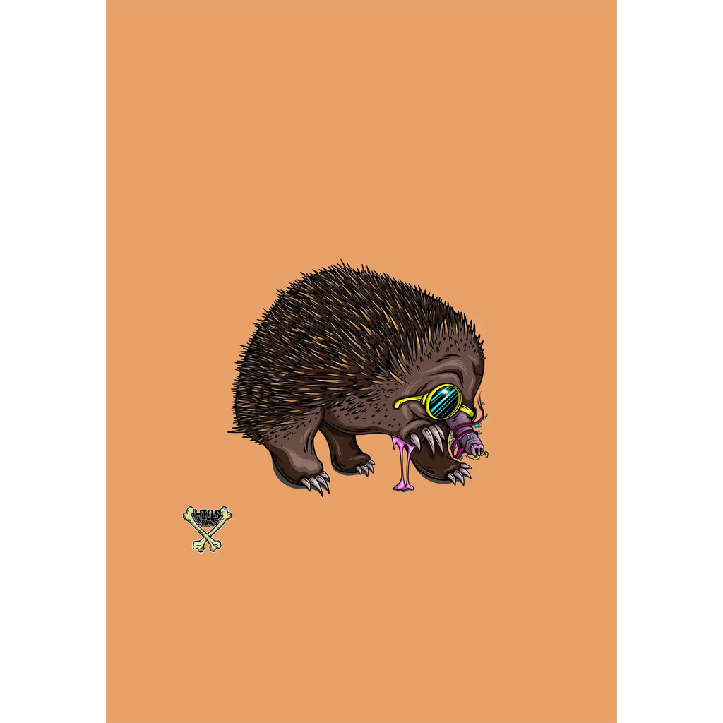 Echidna By Nick Hills