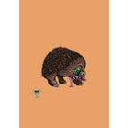 Echidna By Nick Hills