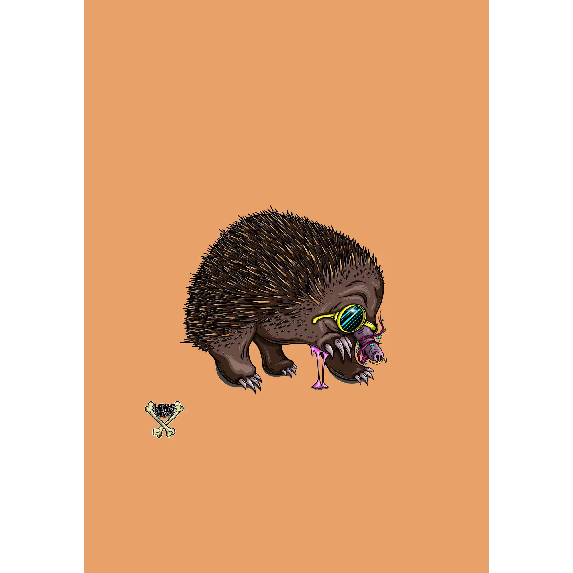 Echidna By Nick Hills