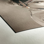 Hahnemühle Photo Rag 308gsm