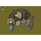 Platypus By Nick Hills